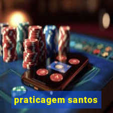 praticagem santos